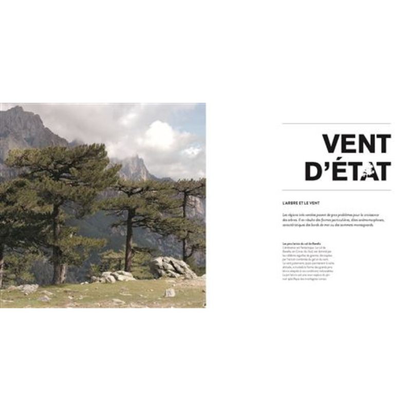 L'arbre dans tous ses états