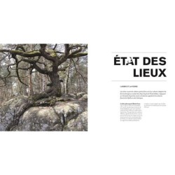 L'arbre dans tous ses états