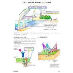 Le guide illustré de l'écologie Le guide illustré de l'écologie