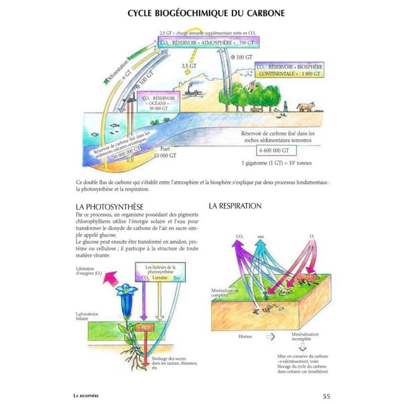 Le guide illustré de l'écologie Le guide illustré de l'écologie