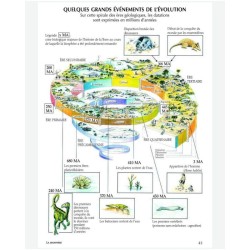 Le guide illustré de l'écologie Le guide illustré de l'écologie