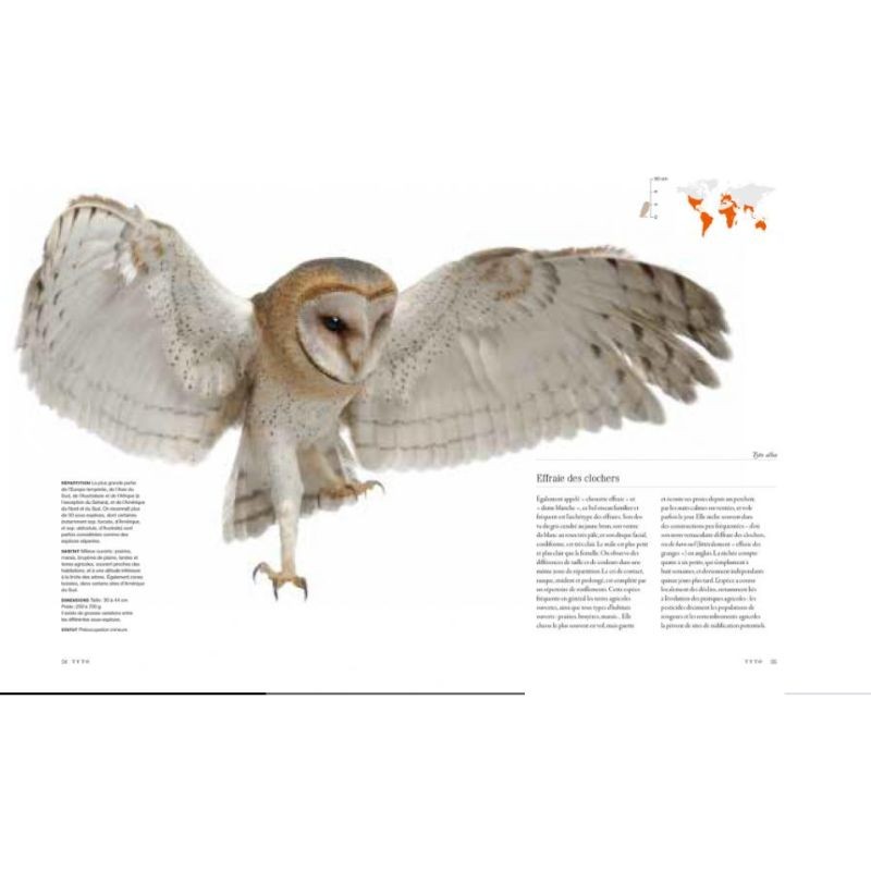 Chouettes et hiboux - Le livre de toutes les espèces Chouettes et hiboux - Le livre de toutes les espèces