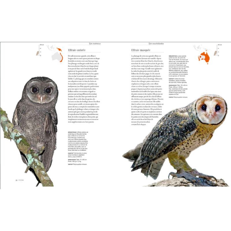 Chouettes et hiboux - Le livre de toutes les espèces Chouettes et hiboux - Le livre de toutes les espèces