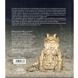 Grenouilles, Crapauds et Cie - Parlez-moi d'anoures... Grenouilles, Crapauds et Cie - Parlez-moi d'anoures...