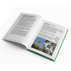 Sylviculture du bouleau - L’essence montante de l’Europe occidentale