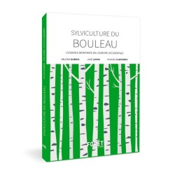 Sylviculture du bouleau - L’essence montante de l’Europe occidentale