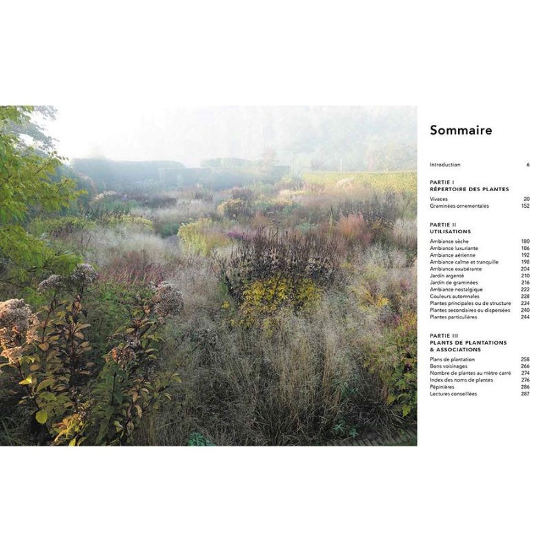 Jardins naturalistes - Les meilleures plantes vivaces