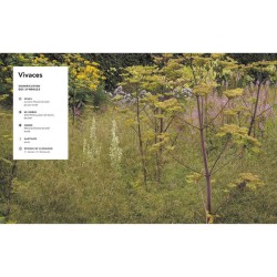 Jardins naturalistes - Les meilleures plantes vivaces