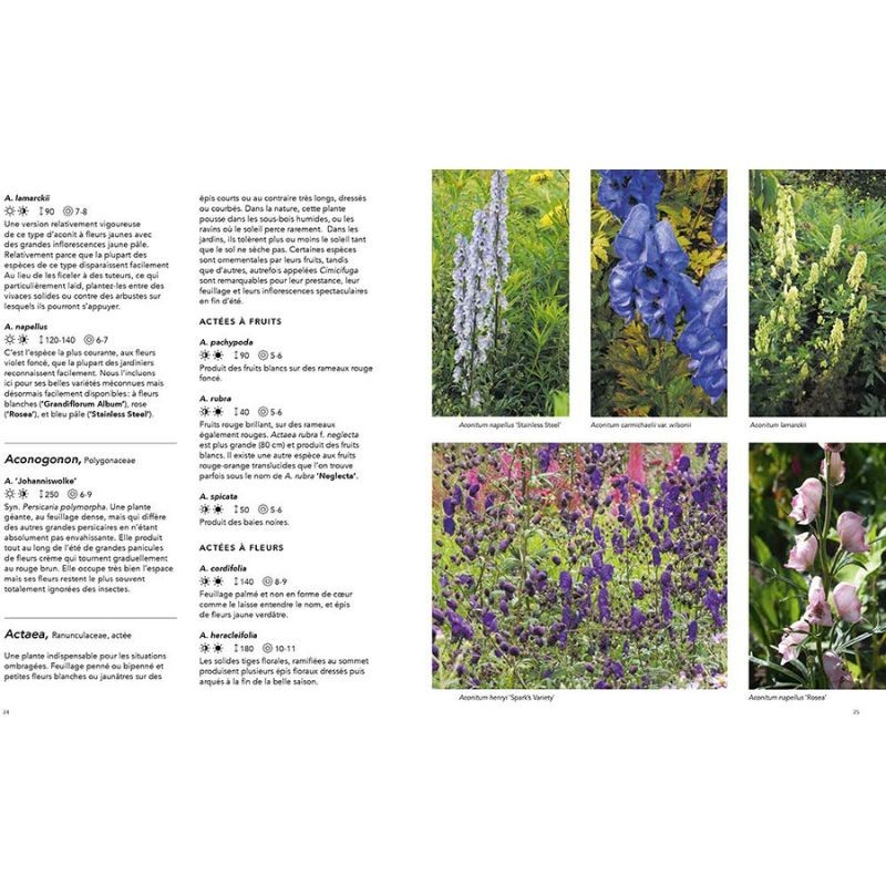 Jardins naturalistes - Les meilleures plantes vivaces