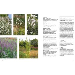 Jardins naturalistes - Les meilleures plantes vivaces