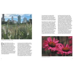 Jardins naturalistes - Les meilleures plantes vivaces