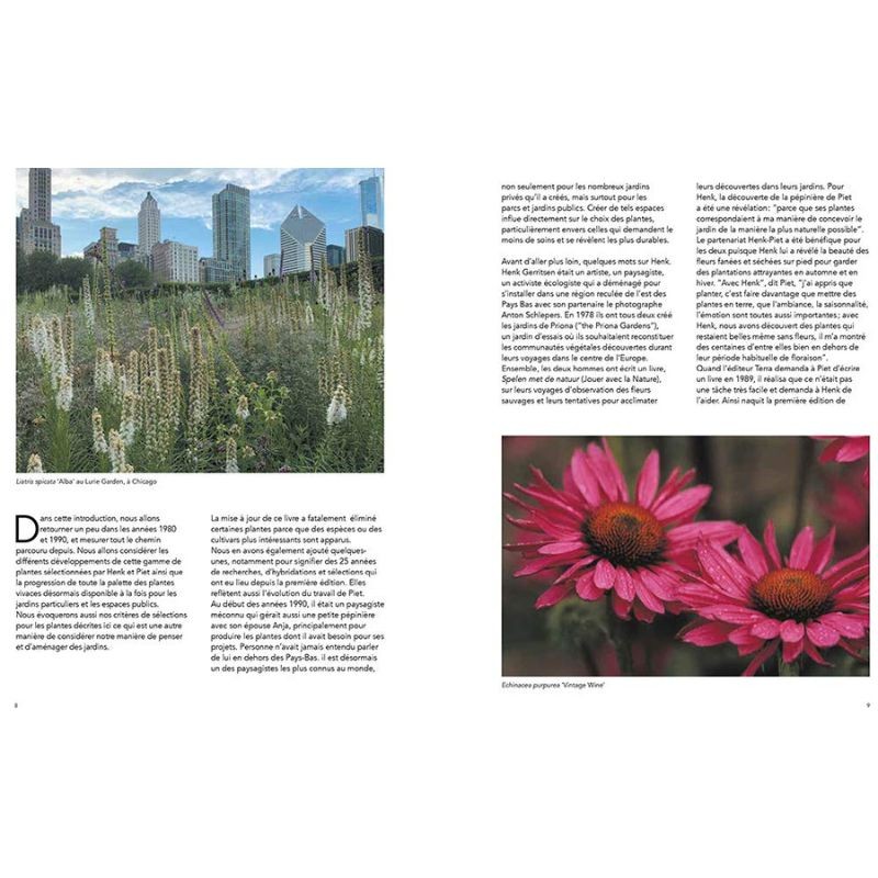 Jardins naturalistes - Les meilleures plantes vivaces