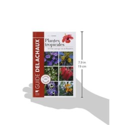 Plantes tropicales - À l'état sauvage ou acclimatées Plantes tropicales - À l'état sauvage ou acclimatées
