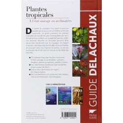 Plantes tropicales - À l'état sauvage ou acclimatées Plantes tropicales - À l'état sauvage ou acclimatées