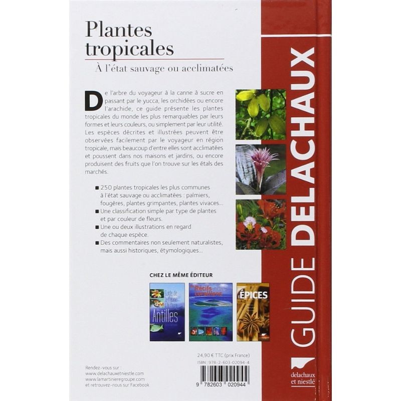 Plantes tropicales - À l'état sauvage ou acclimatées Plantes tropicales - À l'état sauvage ou acclimatées