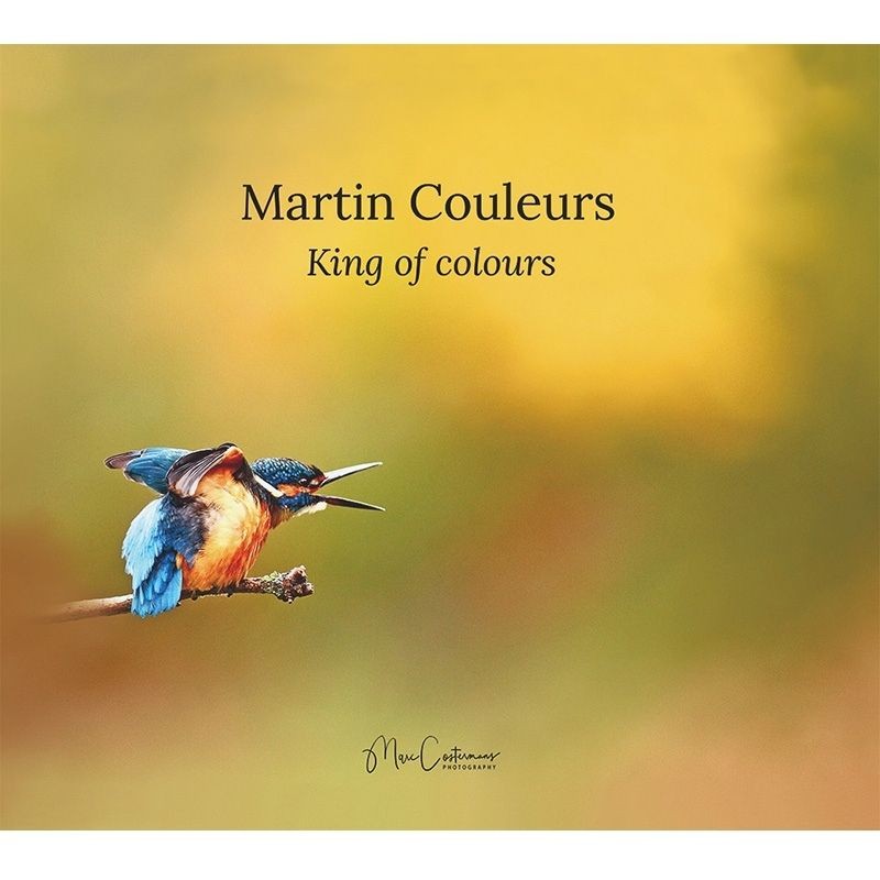 Martin Couleurs - Le Martin-pêcheur