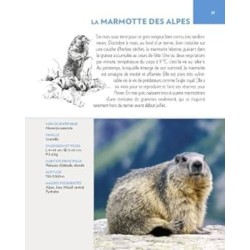 Animaux des montagnes Animaux des montagnes