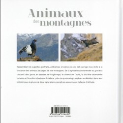 Animaux des montagnes Animaux des montagnes
