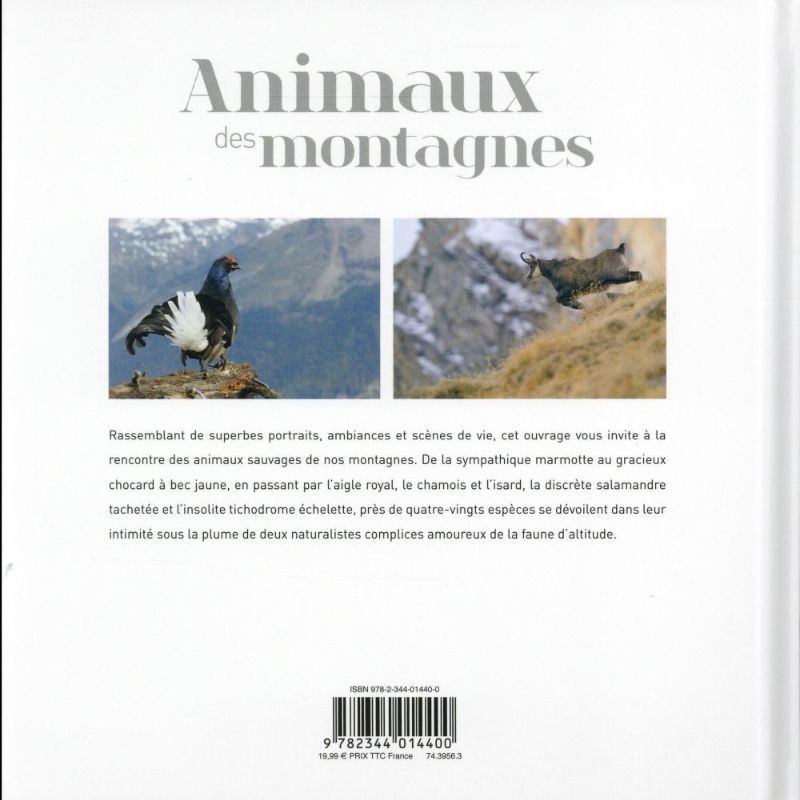 Animaux des montagnes Animaux des montagnes