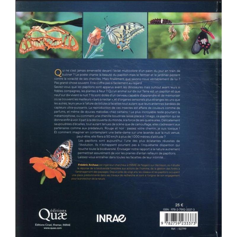 Dans l'intimité des Papillons