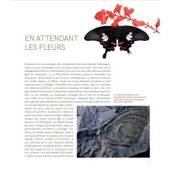 Dans l'intimité des Papillons