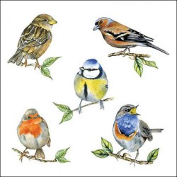 Serviettes "Oiseaux du printemps" - Table ou Cocktail
