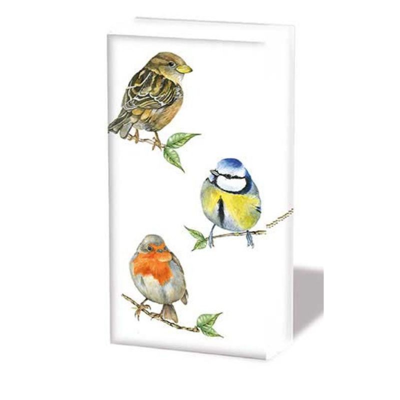 Mouchoirs en papier "Oiseaux du printemps" - Lot de 10