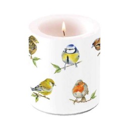 Bougies "Oiseaux du printemps" - Petite/Moyenne