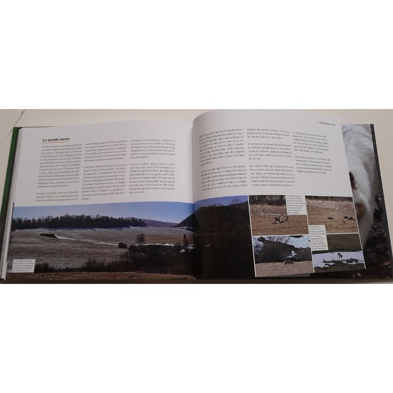 Au loup?! Ami ou ennemi??