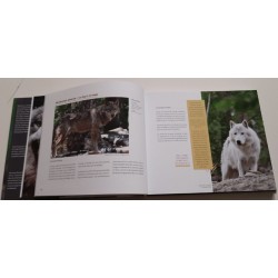 Au loup?! Ami ou ennemi??