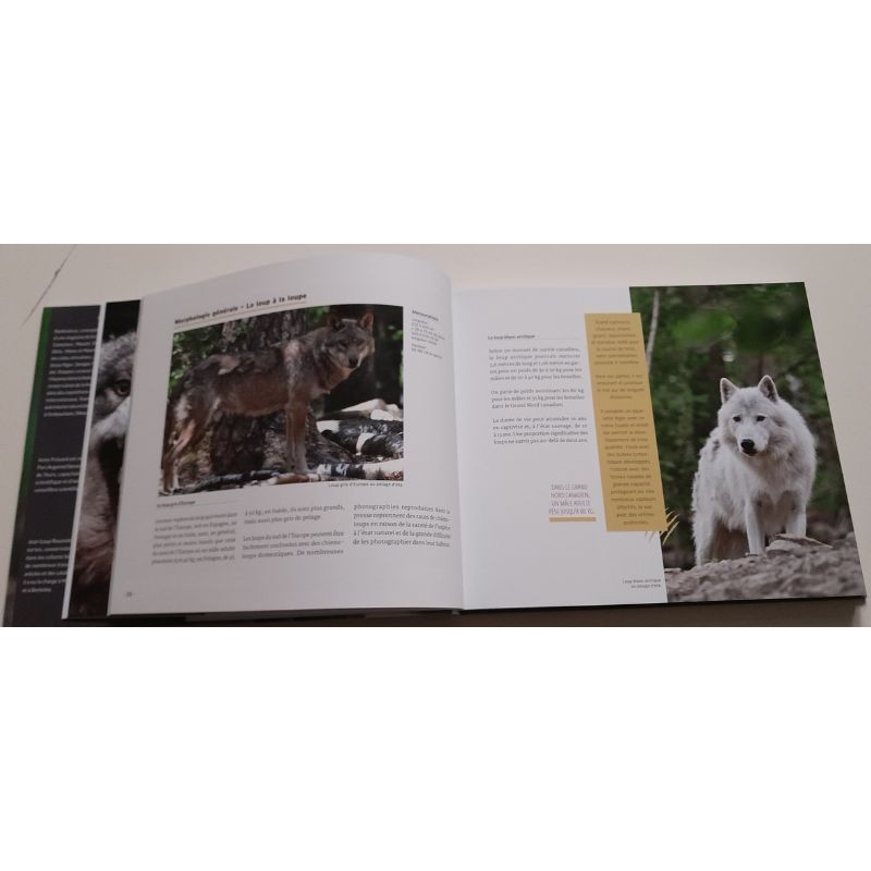 Au loup?! Ami ou ennemi??