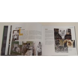 Au loup?! Ami ou ennemi??