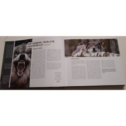 Au loup?! Ami ou ennemi??