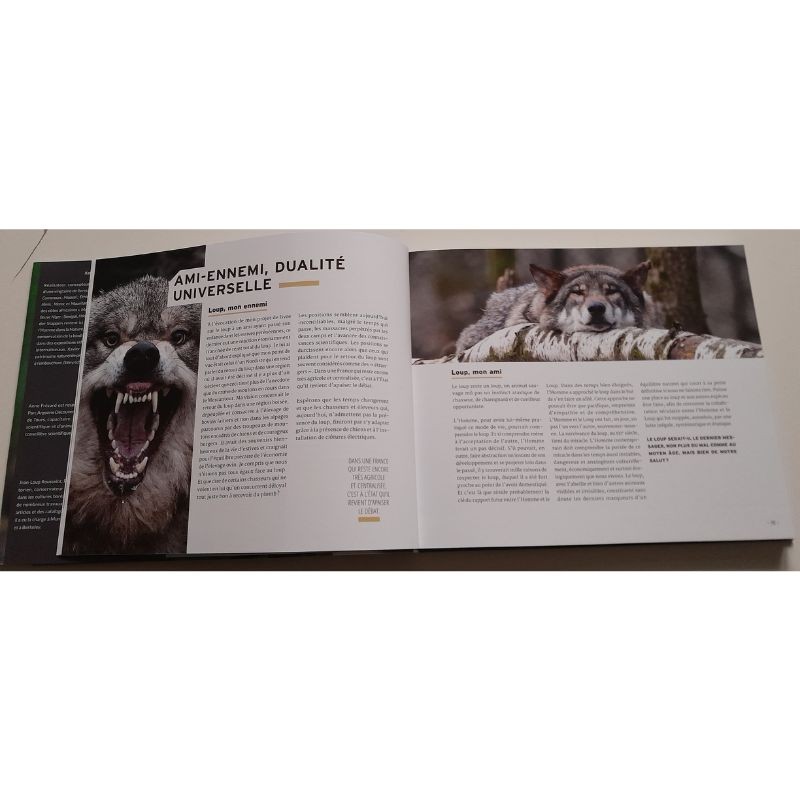 Au loup?! Ami ou ennemi??
