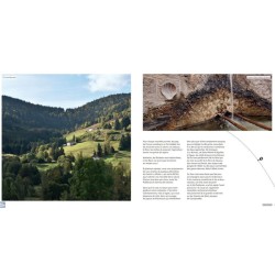 La Nature sur les chemins de Saint-Jacques