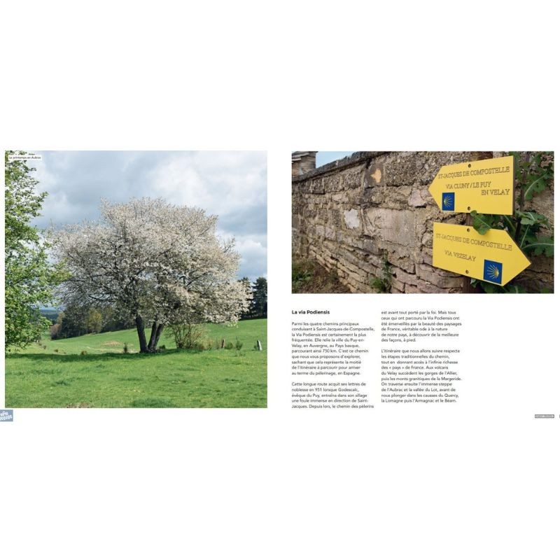 La Nature sur les chemins de Saint-Jacques