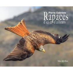 Rapaces, d'Ici et d'Ailleurs Rapaces, d'Ici et d'Ailleurs