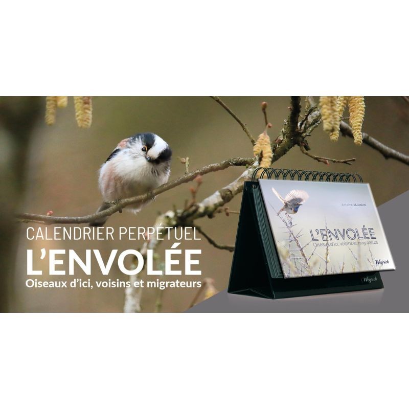 L'Envolée - Oiseaux d'ici, voisins et migrateurs L'Envolée - Oiseaux d'ici, voisins et migrateurs