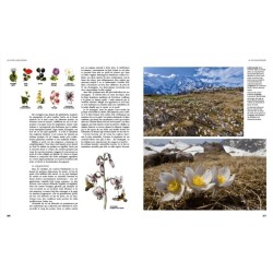 La Vie de la montagne