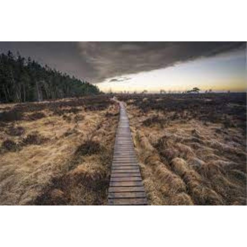 Au Pays des sources Au Pays des sources