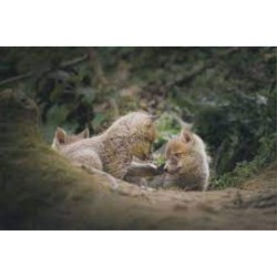 Au Pays des sources Au Pays des sources