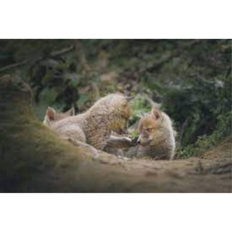 Au Pays des sources Au Pays des sources