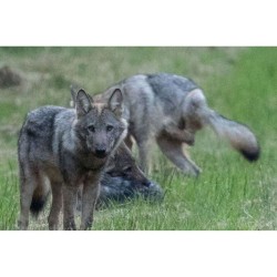 Au Pays des sources Au Pays des sources