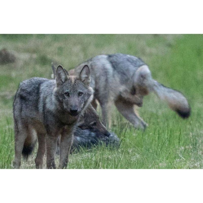 Au Pays des sources Au Pays des sources