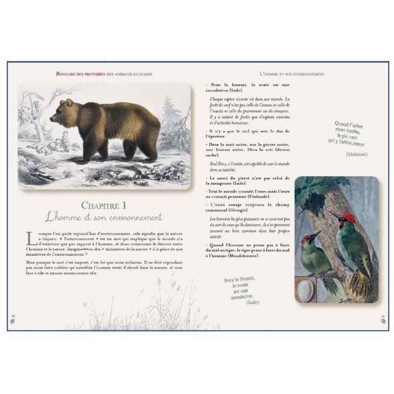 Bestiaire des proverbes des animaux sauvages Bestiaire des proverbes des animaux sauvages