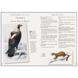 Bestiaire des proverbes des animaux sauvages Bestiaire des proverbes des animaux sauvages