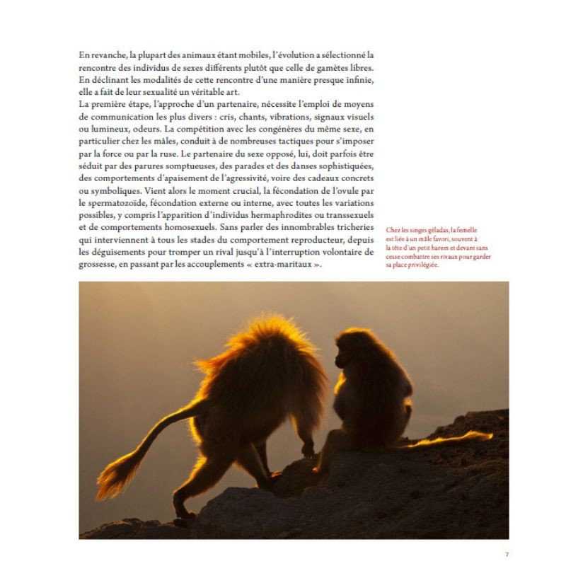 L'art d'être amoureux chez les animaux L'art d'être amoureux chez les animaux