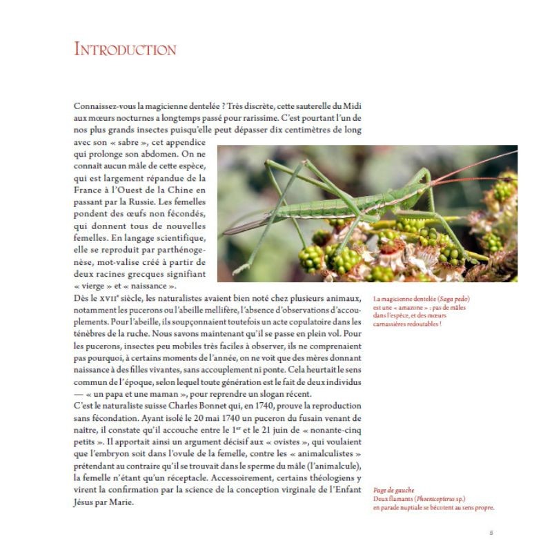 L'art d'être amoureux chez les animaux L'art d'être amoureux chez les animaux