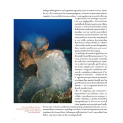 L'art d'être amoureux chez les animaux L'art d'être amoureux chez les animaux