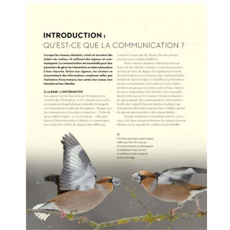 L'art de communiquer chez les oiseaux - Chants, cris, plumes et danses